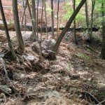 Failed erosion control. (Celanese Pipeline, Virginia)